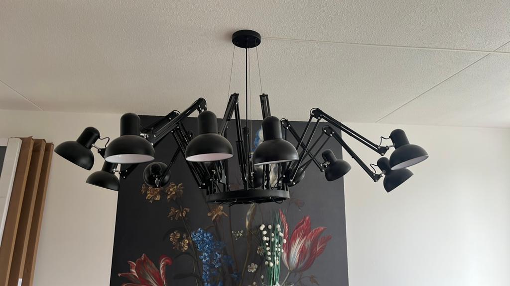Industriele Hanglamp - zwart spider - 12 bollen, Ophalen, Zo goed als nieuw