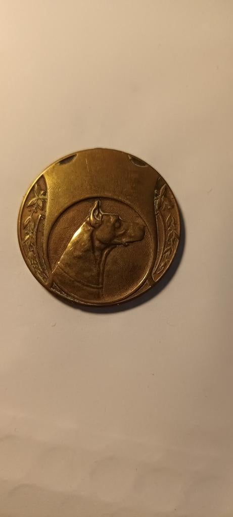 Ovale Medaille met Hond en Kasteel - Brons, Ophalen of Verzenden