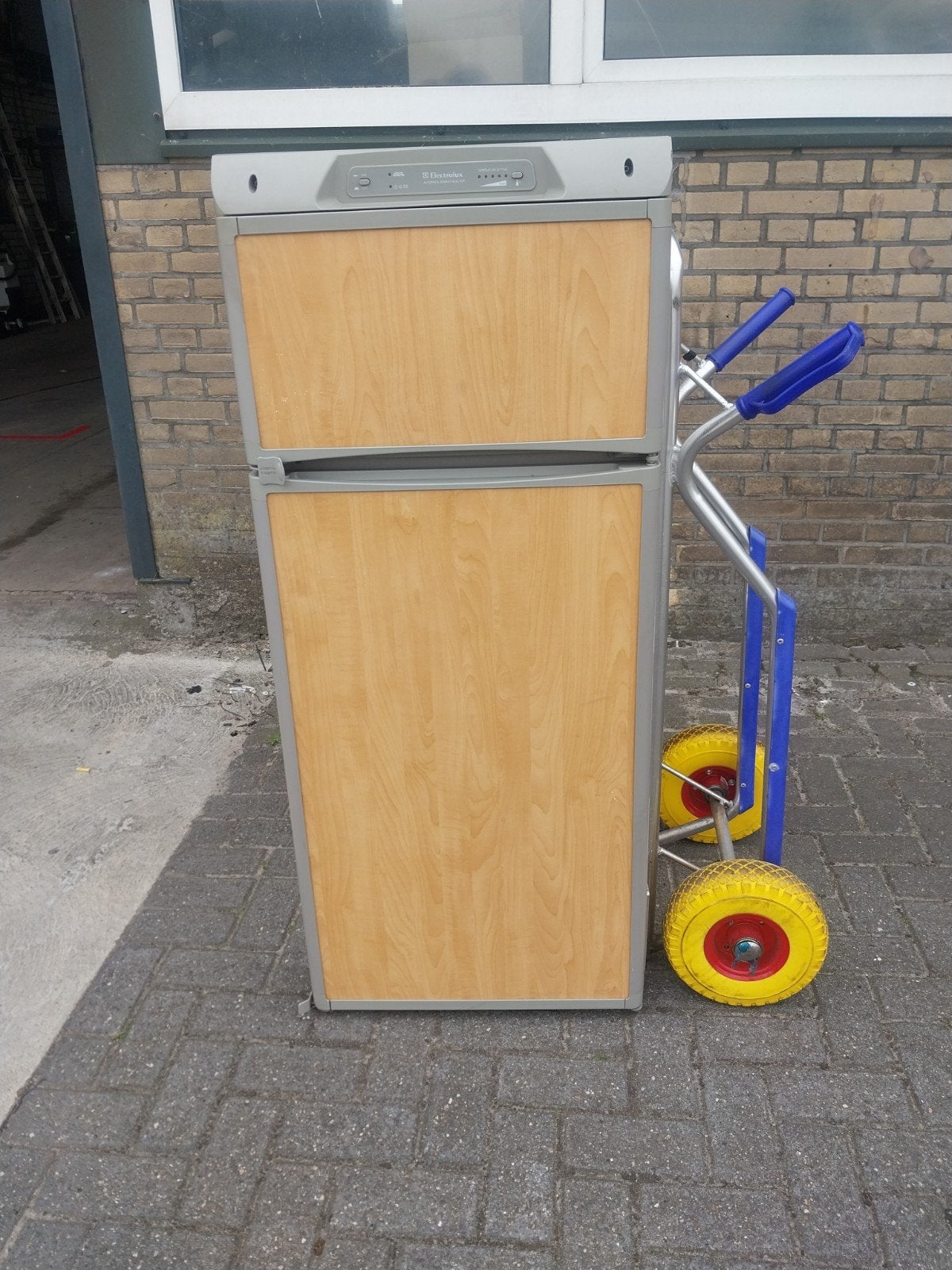Electrolux rm6505 koelkast, Ophalen of Verzenden, Gebruikt