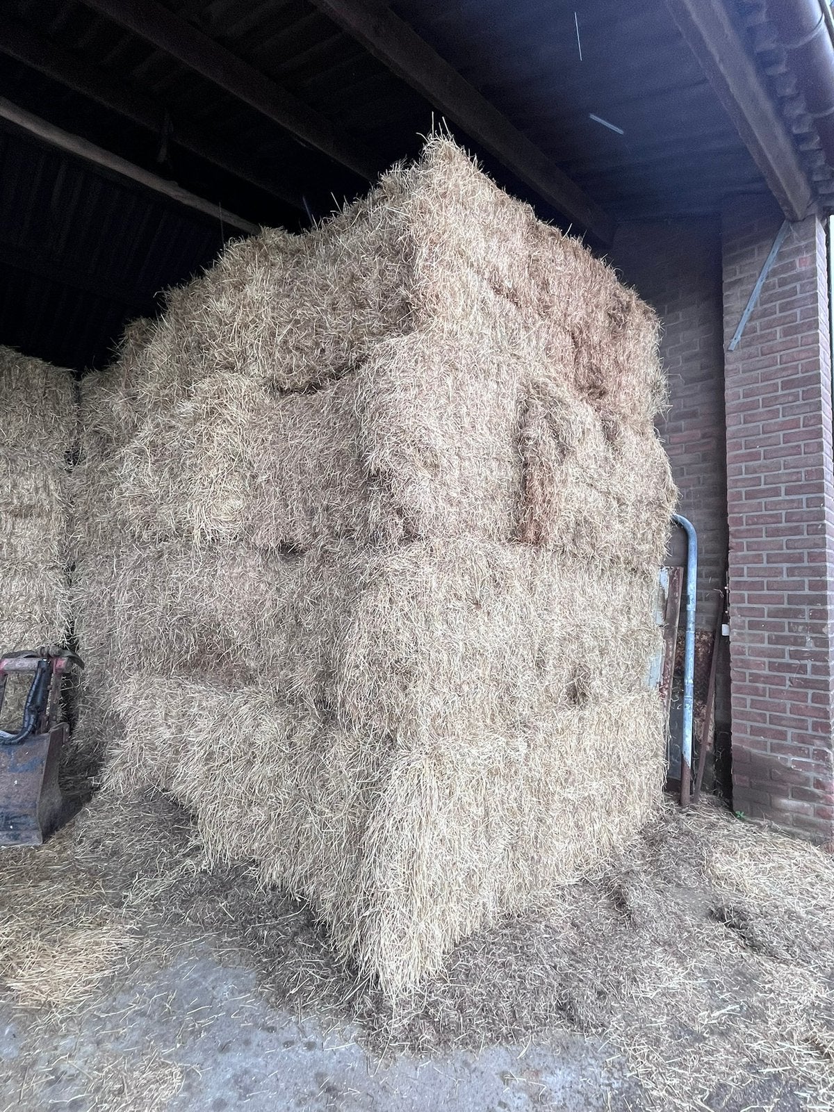 Hooibalen 500kg, Ophalen, Vee