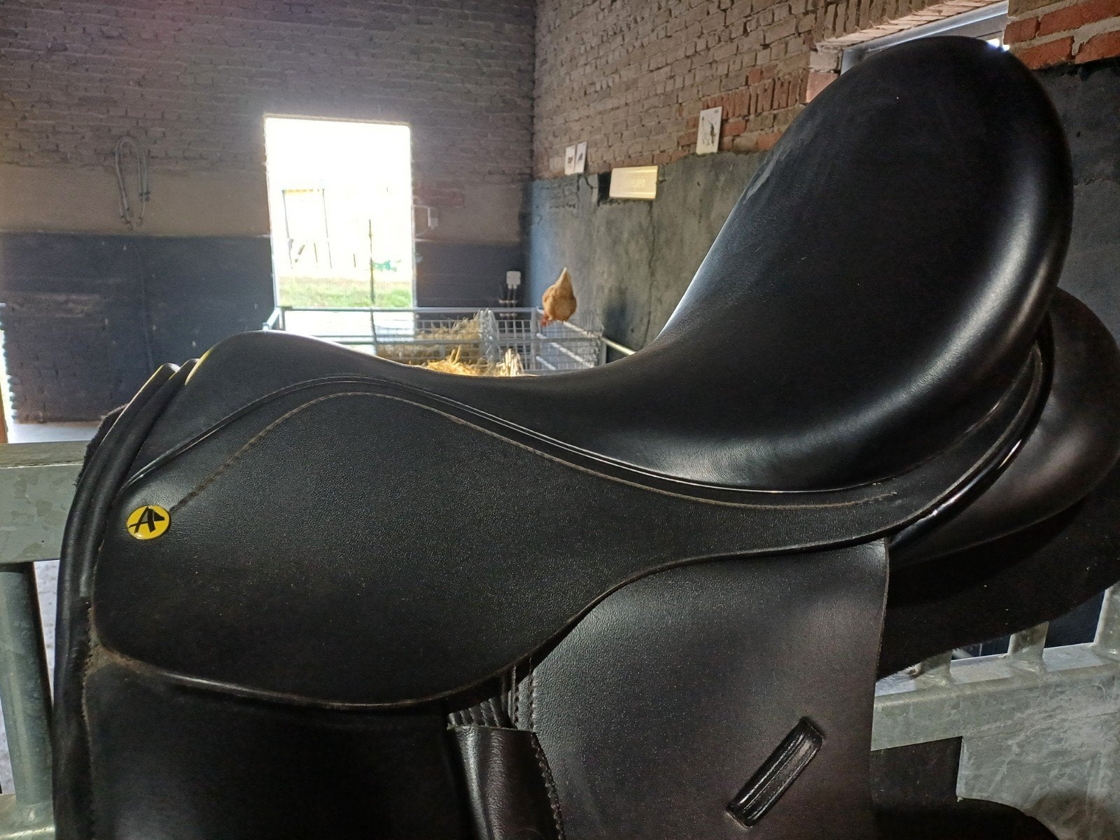 Anatomica Octant fit 4.    18 1/3 inch, Ophalen, Zo goed als nieuw, Dressuur