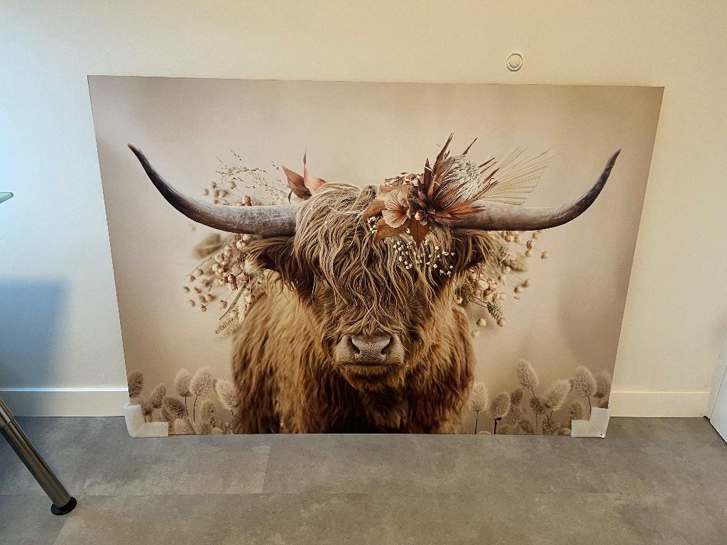 Schilderij Schotse hooglander, Ophalen, 125 cm of meer, Zo goed als nieuw, Schilderij