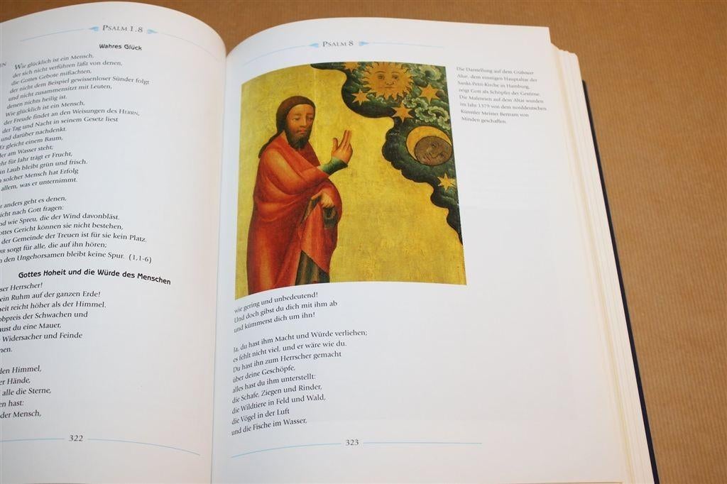 De Geïllustreerde Bijbel — Prachtige Duitse Editie [912 p.], Ophalen of Verzenden, Gelezen