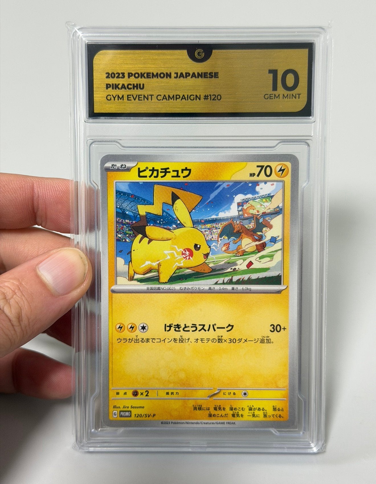 2023 POKEMON JAPANESE PIKACHU GYM EVENT CAMPAIGN #120 gg-10, Hobby en Vrije tijd, Ophalen of Verzenden, Nieuw, Losse kaart, Foil