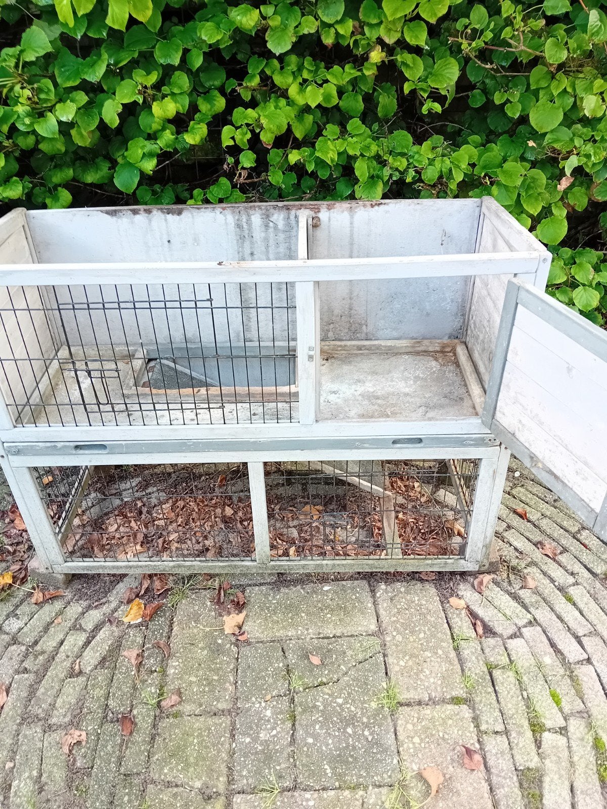 Hok voor cavia  en andere kleine dieren, Dieren en Toebehoren, Hok, Cavia, Ophalen, Minder dan 60 cm