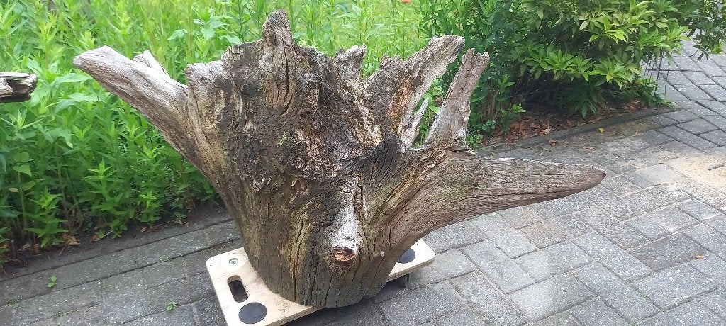 Fraaie stobbe ofwel boomstronk (twee stuks), Ophalen, Gebruikt