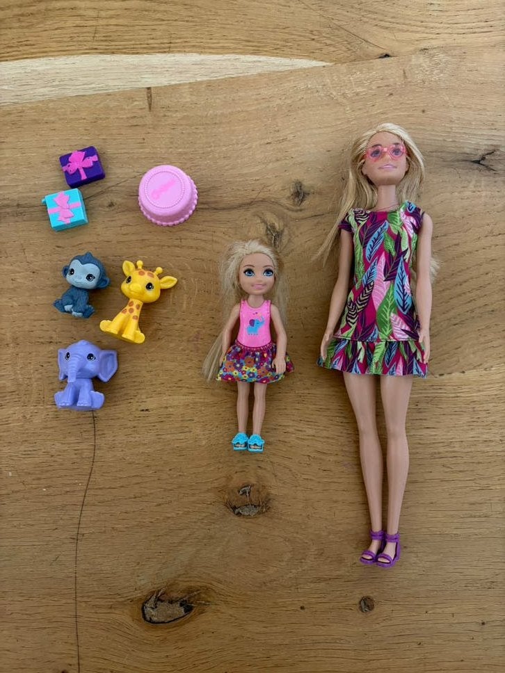 Barbie en Chelsea - the lost birthday, Ophalen, Gebruikt, Barbie