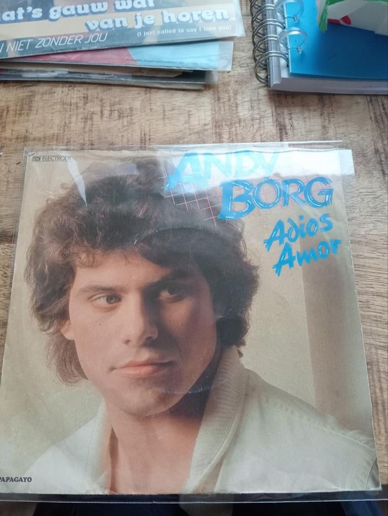 Andy borg - adios amore, Cd's en Dvd's, Vinyl | Nederlandstalig, Ophalen of Verzenden, Zo goed als nieuw, Overige formaten, Levenslied of Smartlap