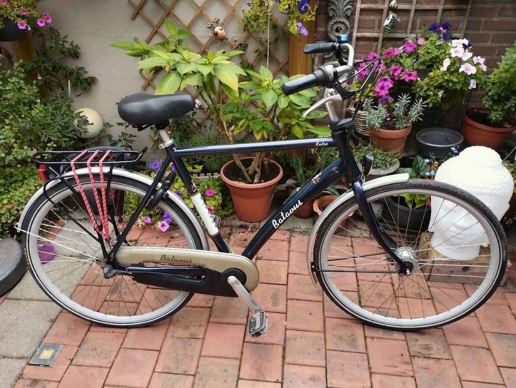 Batavus nexus 3V rollerbrake & naafdynamo!, Ophalen, Gebruikt, Versnellingen, Batavus