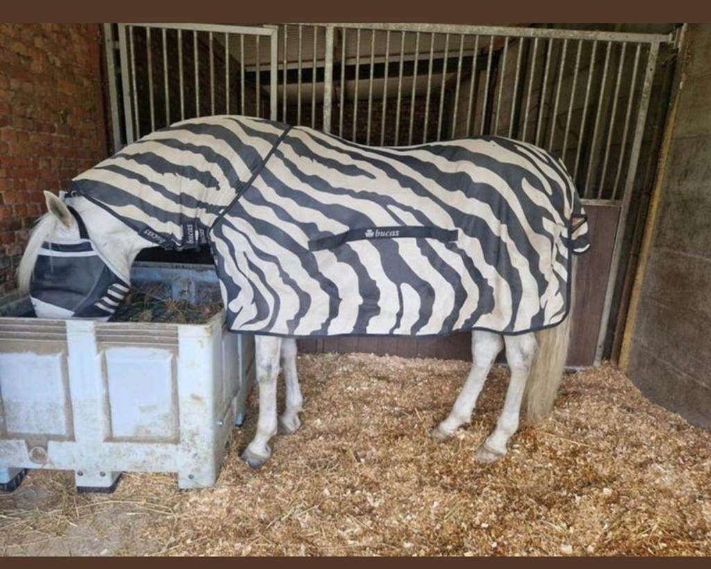 Bucas Buzz Off zebra vliegendeken • 145 / 195, Dieren en Toebehoren, Ophalen of Verzenden