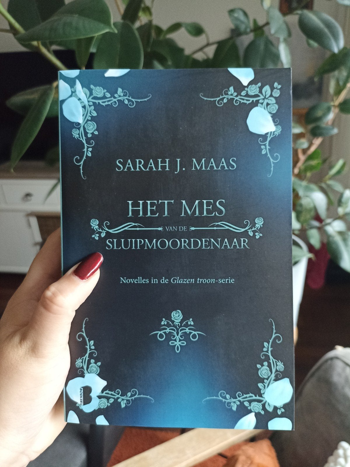 Het mes van de sluipmoordenaar (ZGAN), Boeken, Ophalen of Verzenden, Zo goed als nieuw, Sarah J. Maas