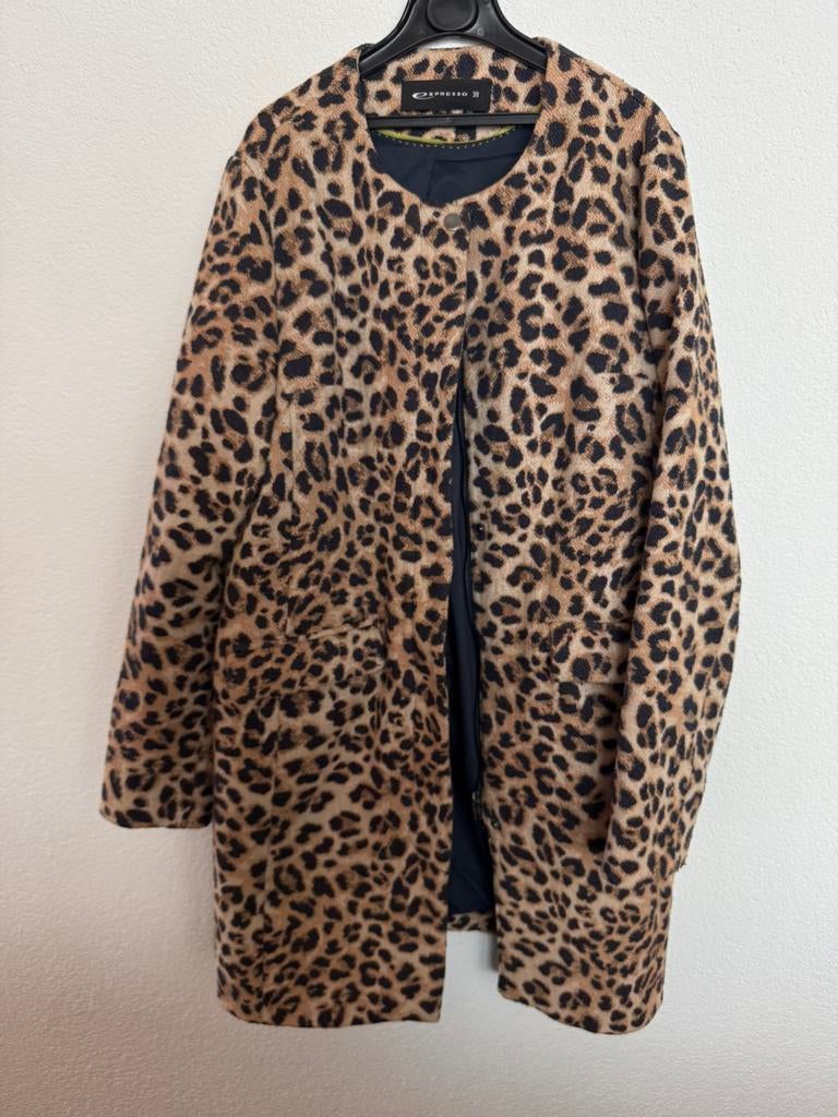 leuke tussenjas/ blazer mt 38 Expresso, Ophalen of Verzenden, Zo goed als nieuw, Maat 38/40 (M)