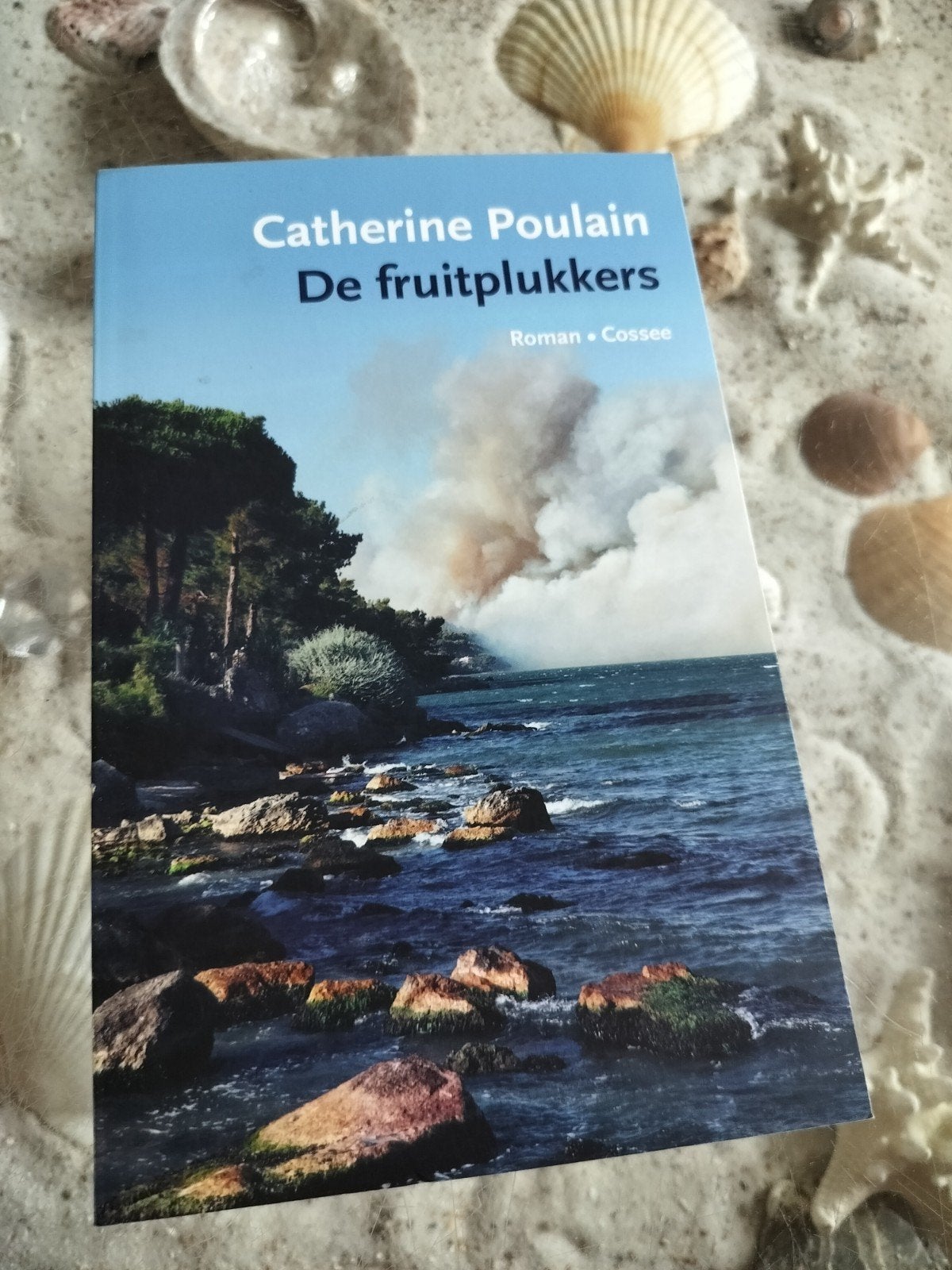 Catherine Poulain - De fruitplukkers, Boeken, Ophalen of Verzenden, Zo goed als nieuw, Catherine Poulain
