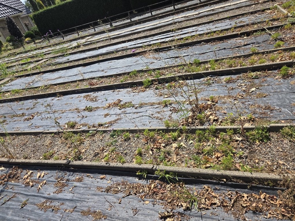 Betonbanden 1 meter – tuinbanden, Tuin en Terras, Tegels en Klinkers, Ophalen, Gebruikt, Overige typen, 10 m² of meer