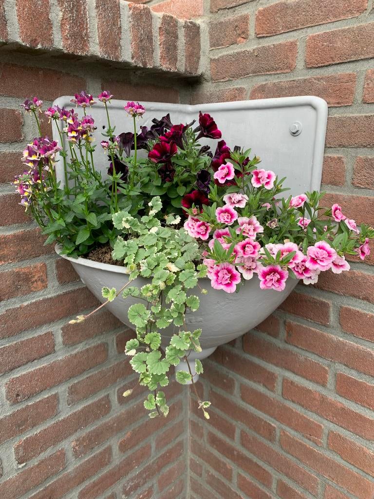 Antieke gietijzeren drinkbak / plantenbak, Ophalen of Verzenden