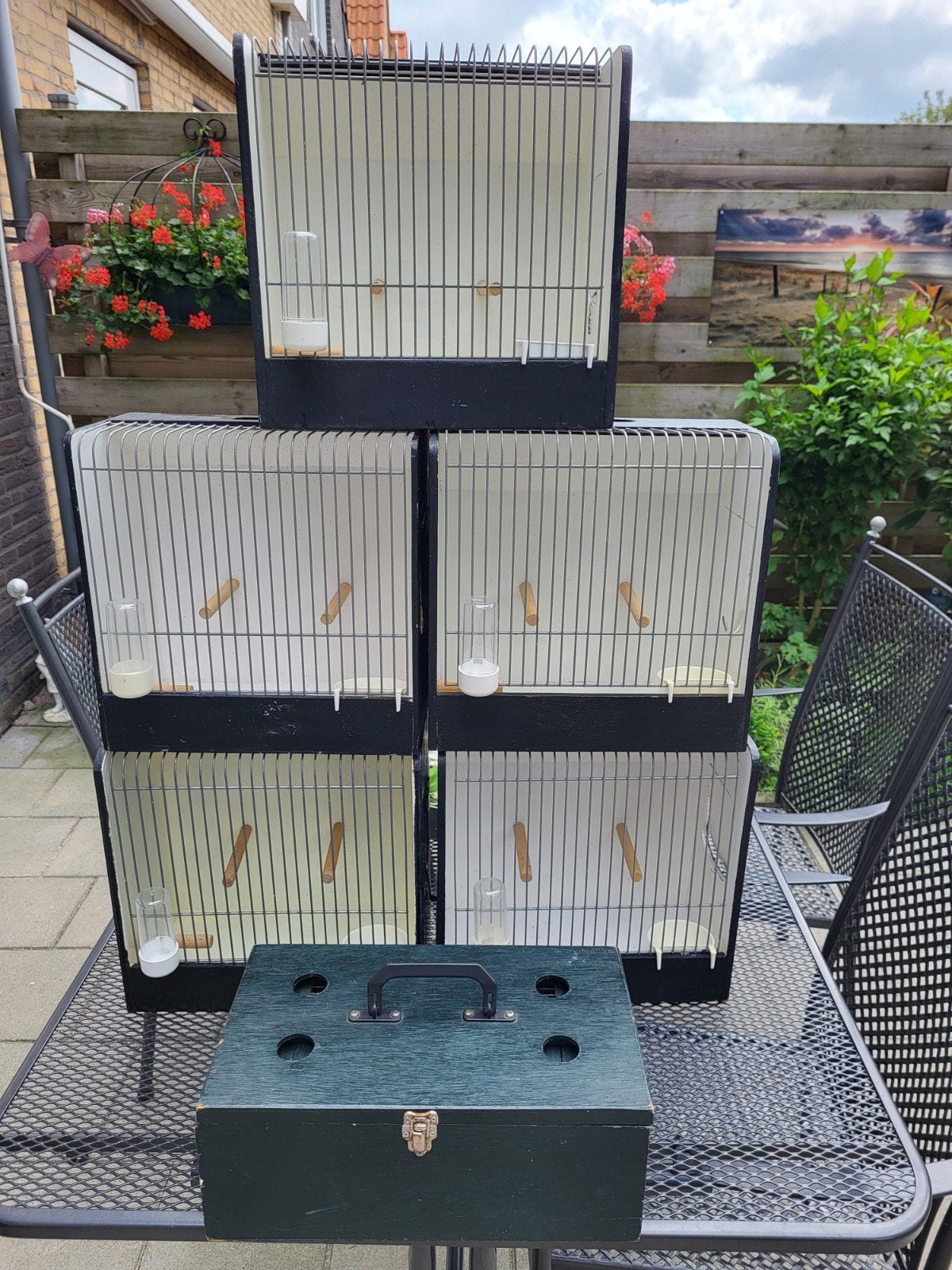 5 mooie TT kooien en 2 delige loper, Ophalen, Gebruikt