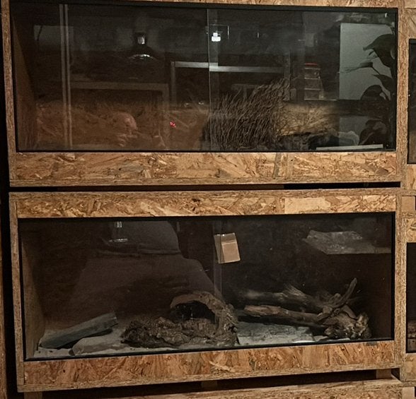 Osb terrarium 1x 100.50.50, Ophalen, Zo goed als nieuw