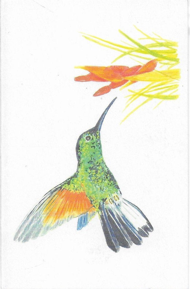 B14 Ongelopen kaart kolibri, Ophalen of Verzenden, 1980 tot heden, Ongelopen