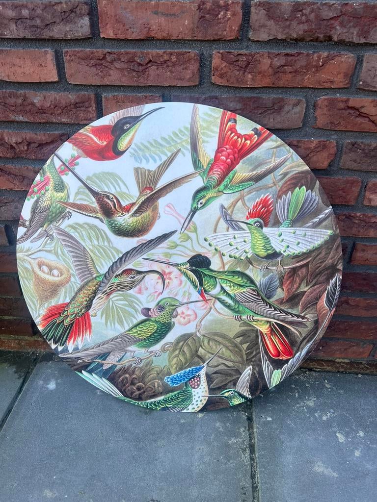 Wandcirkel vogels koopje €10,- afhaal, Ophalen, Zo goed als nieuw, Foto of Poster, Minder dan 50 cm