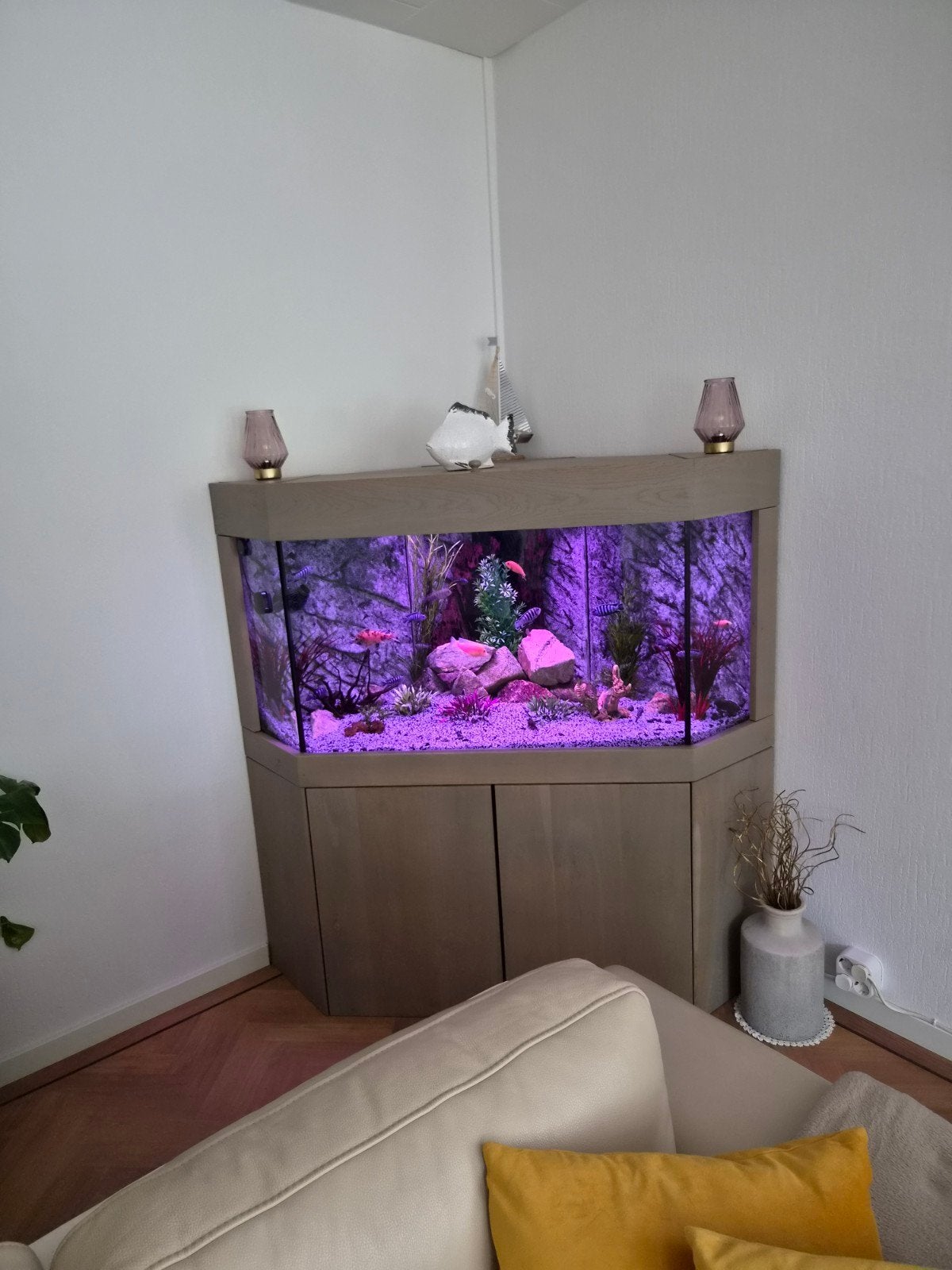 Te koop Aguarium, Dieren en Toebehoren, Ophalen