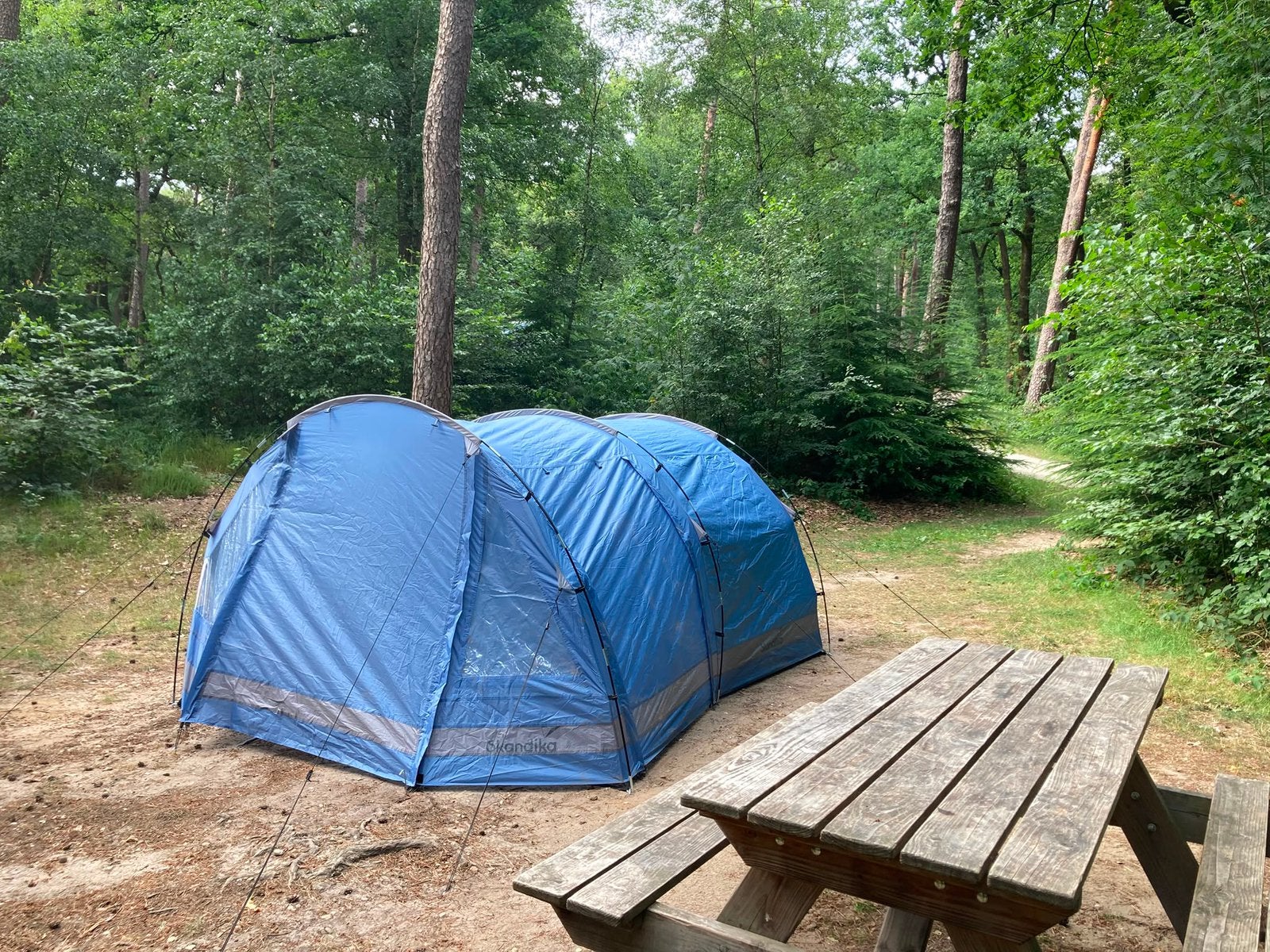 Skandika tunneltent, Caravans en Kamperen, Tenten, Ophalen, Zo goed als nieuw, Tot en met 4