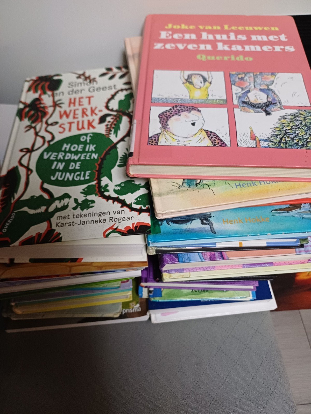 Kinderboeken: Het Werkstuk & Een huis met zeven kamers, Ophalen, Gelezen, Simon van der Geest, Joke van Leeuwen, Fictie algemeen