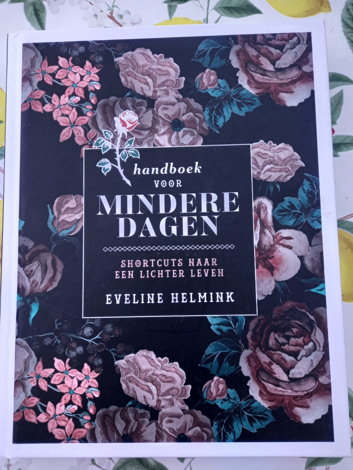 m14 Eveline Helmink - Handboek voor mindere dagen, Boeken, Ophalen of Verzenden, Zo goed als nieuw, Eveline Helmink