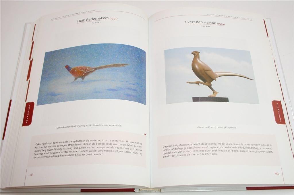 Hoogvliegers van het Laagland — Vogels in de Kunst, Ophalen of Verzenden, Zo goed als nieuw