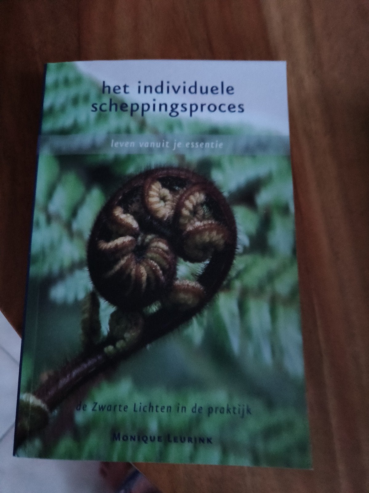 Monique Leurink - Het Individuele Scheppingsproces, Achtergrond en Informatie, Spiritualiteit algemeen, Ophalen of Verzenden, Zo goed als nieuw