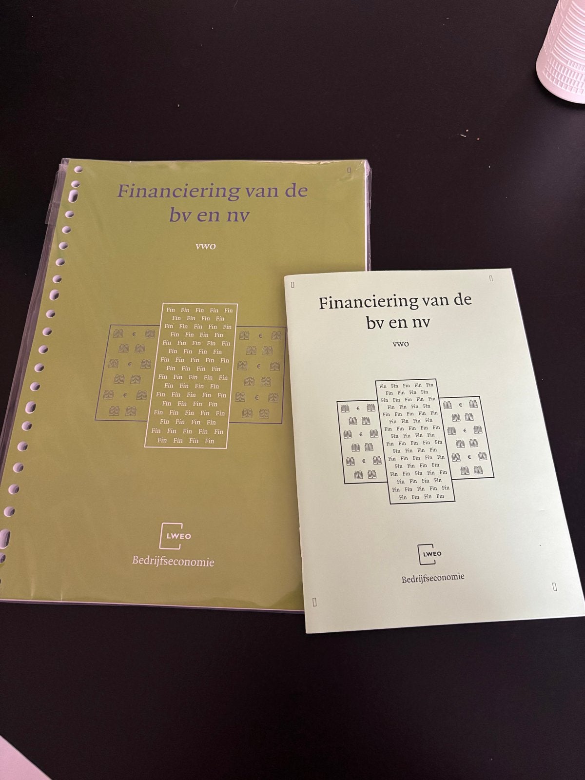 Financiering van de bv en nv VWO - Bedrijfseconomie, Ophalen of Verzenden, Gamma, Nieuw, WO