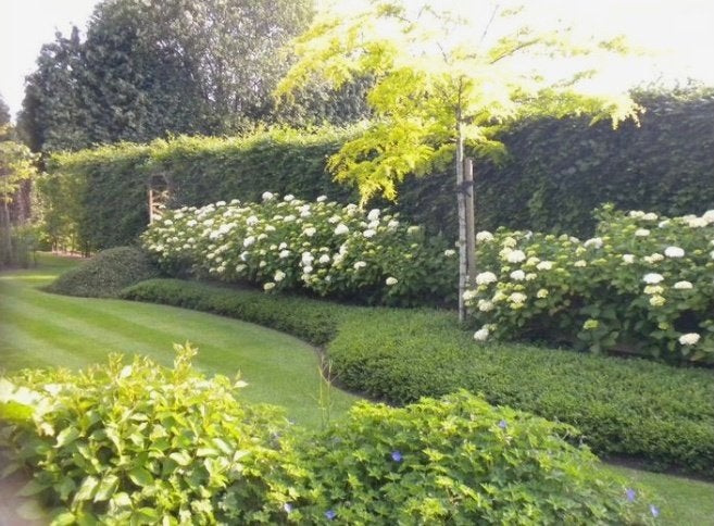 TUINMAN EINDHOVEN EN OMGEVING, Tuinonderhoud of Snoeiwerk