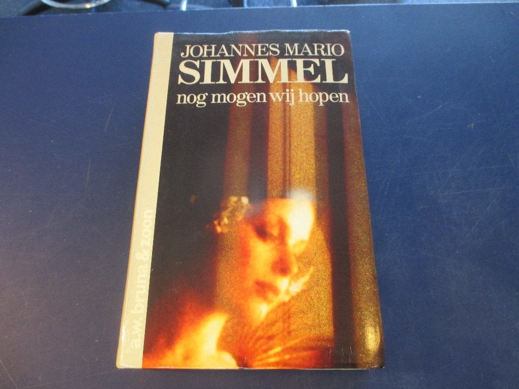 Nog mogen wij hopen - mooie roman, Boeken, Ophalen of Verzenden, Gelezen
