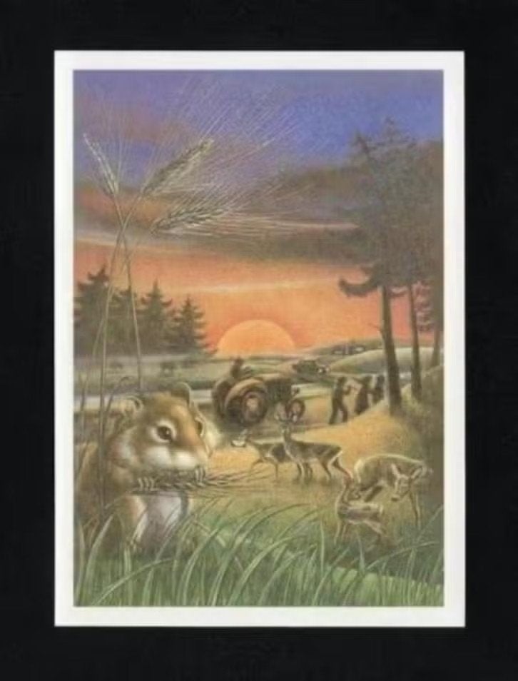 Fantasie Hamster Ree Damhert Wild Zwijn Trekker Graan., Verzamelen, Ansichtkaarten | Dieren, Ophalen of Verzenden, 1980 tot heden