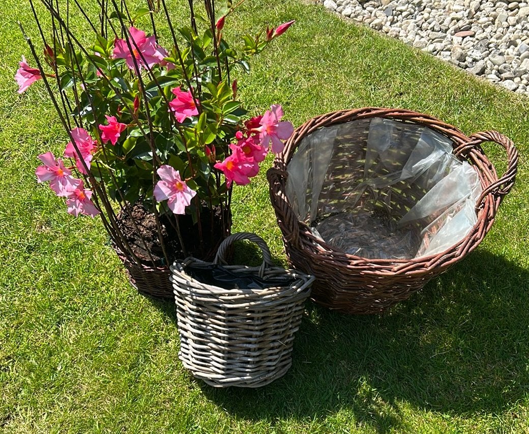 Wilgentenen manden voor tuin en/of balkon, Tuin en Terras, Ophalen, Minder dan 30 cm, Balkon, Rond