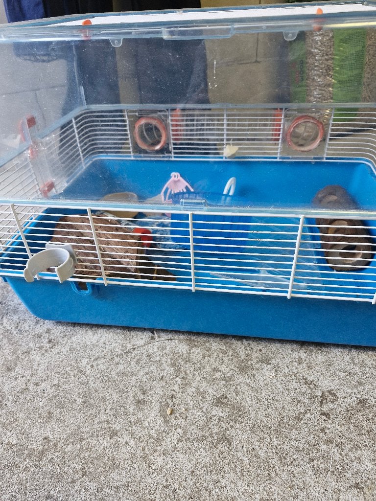 Hamsterkooi, Dieren en Toebehoren, Kooi, Gebruikt, Ophalen, Minder dan 60 cm