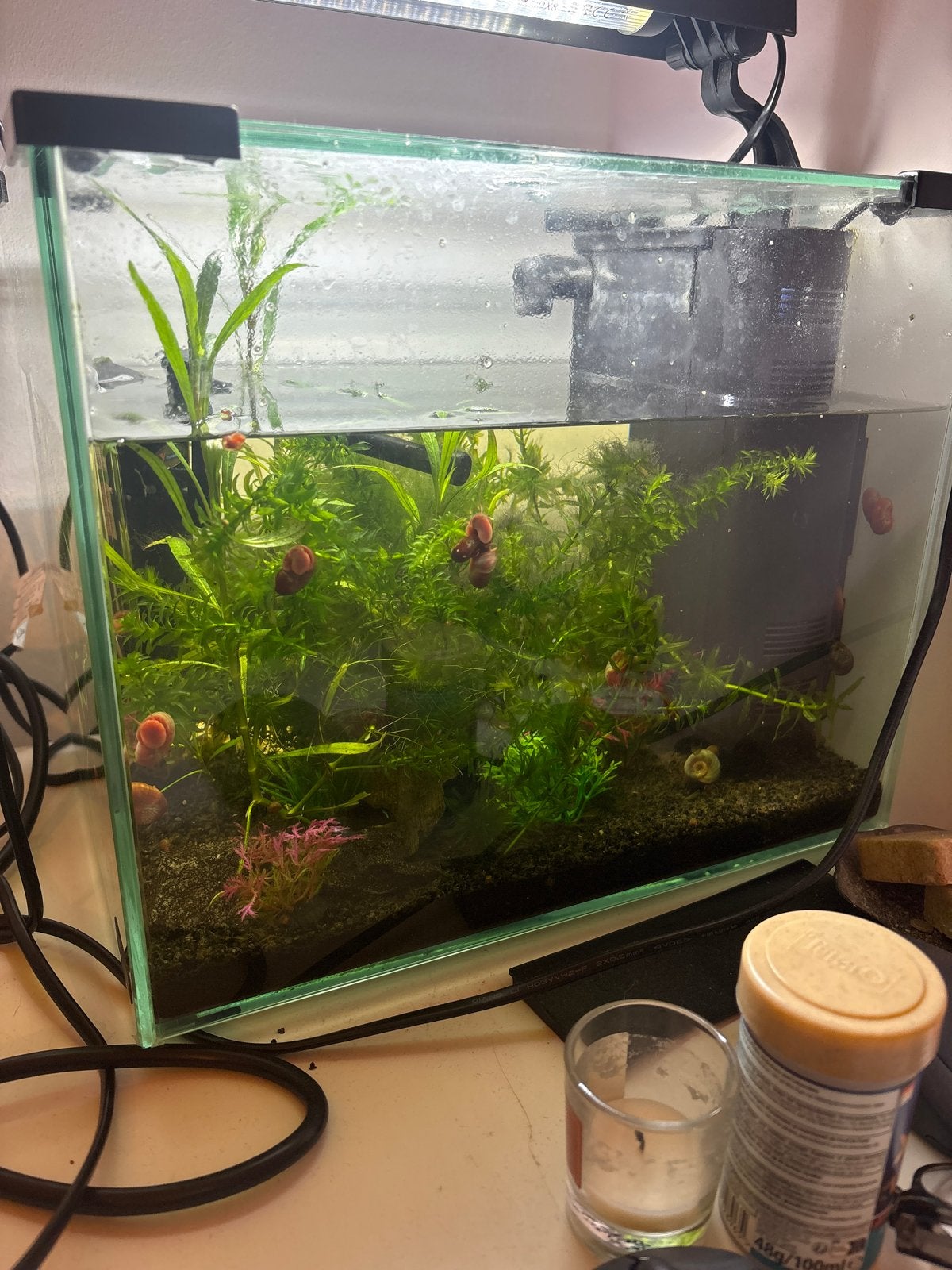 Super leuk vierkant aquarium, Ophalen, Zo goed als nieuw, Overige typen