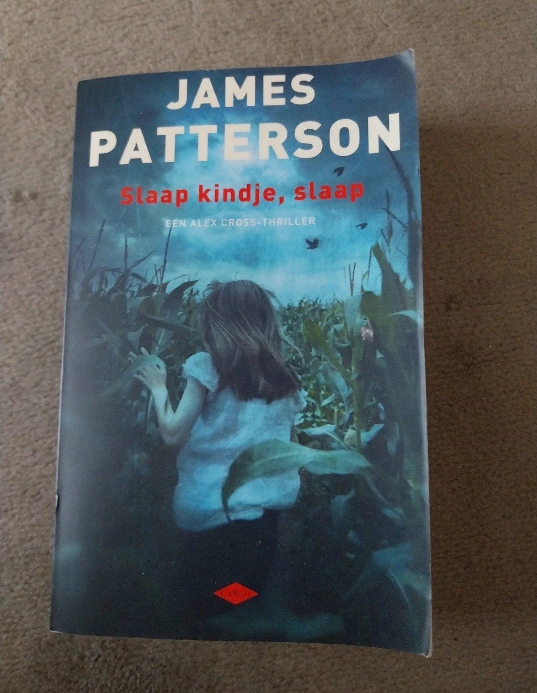 James Patterson - Slaap kindje, slaap (Alex Cross thriller), Boeken, Ophalen of Verzenden, Zo goed als nieuw, James Patterson