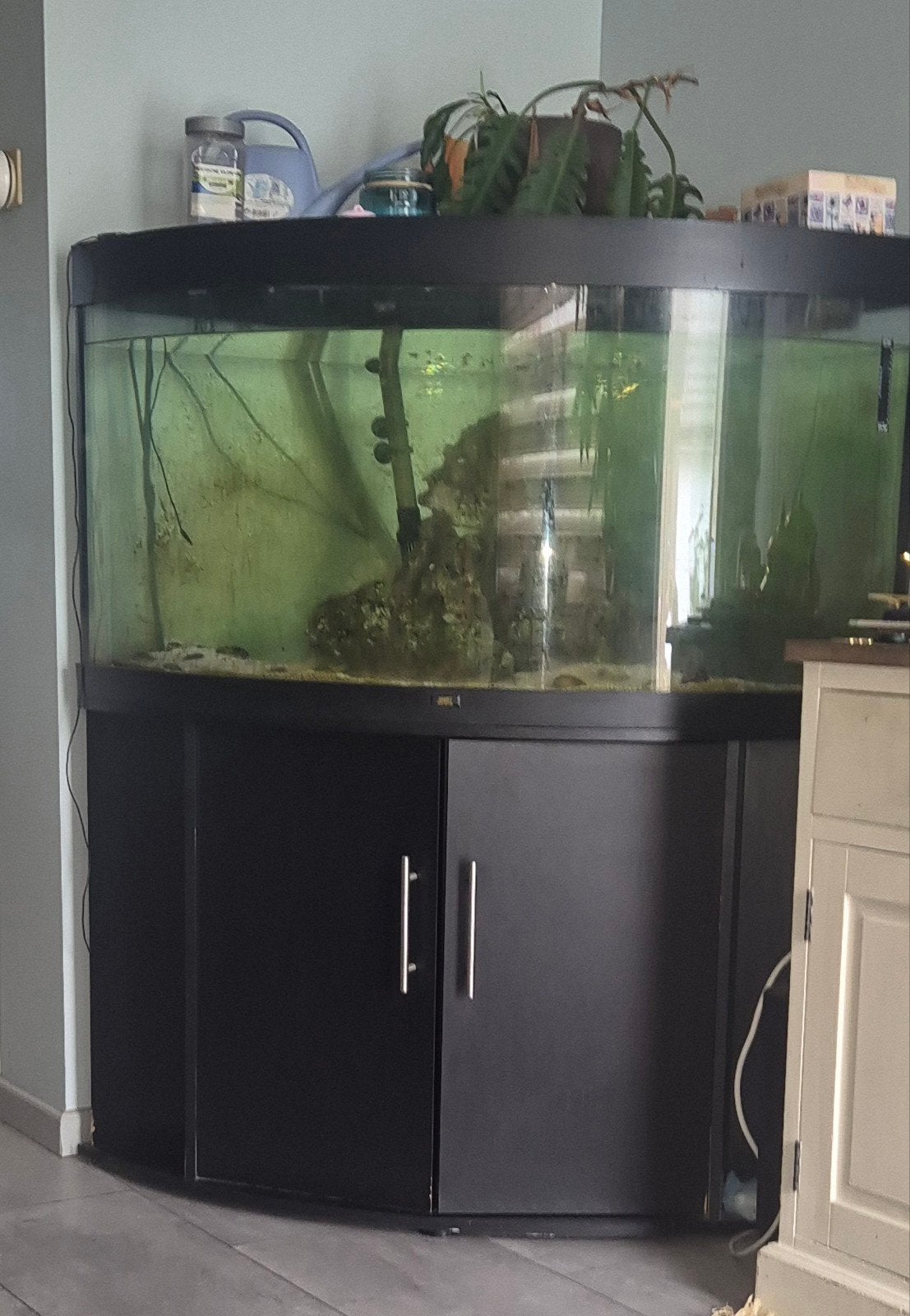 Juwel hoekaquarium 350 liter, Dieren en Toebehoren, Ophalen, Leeg aquarium