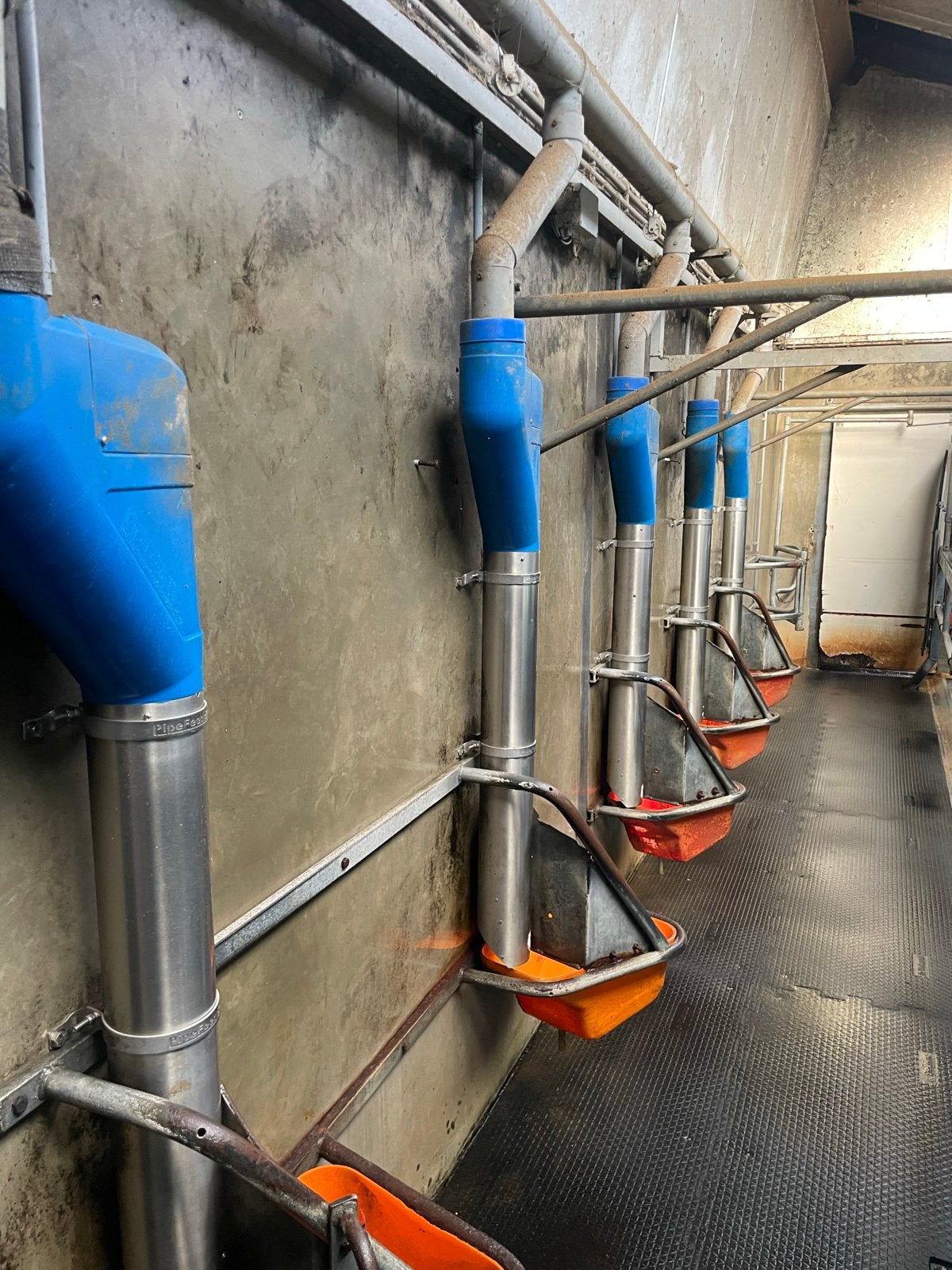 Pipefeeders 10 stuks