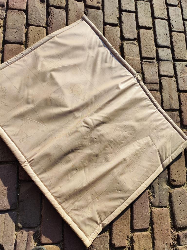 Rechthoekig boxkleed of speelkleed, ook voor buiten, Kinderen en Baby's, Speelgoed | Speelkleden, Gebruikt, Ophalen of Verzenden