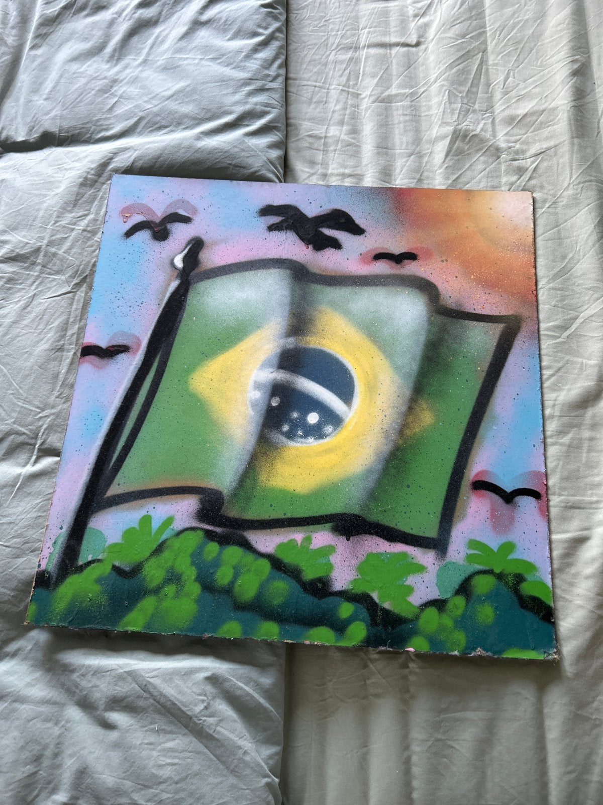 Schilderij Braziliaanse vlag - Graffiti stijl, Antiek en Kunst, Kunst | Schilderijen | Klassiek, Ophalen, Overige stijlen, Gesigneerd