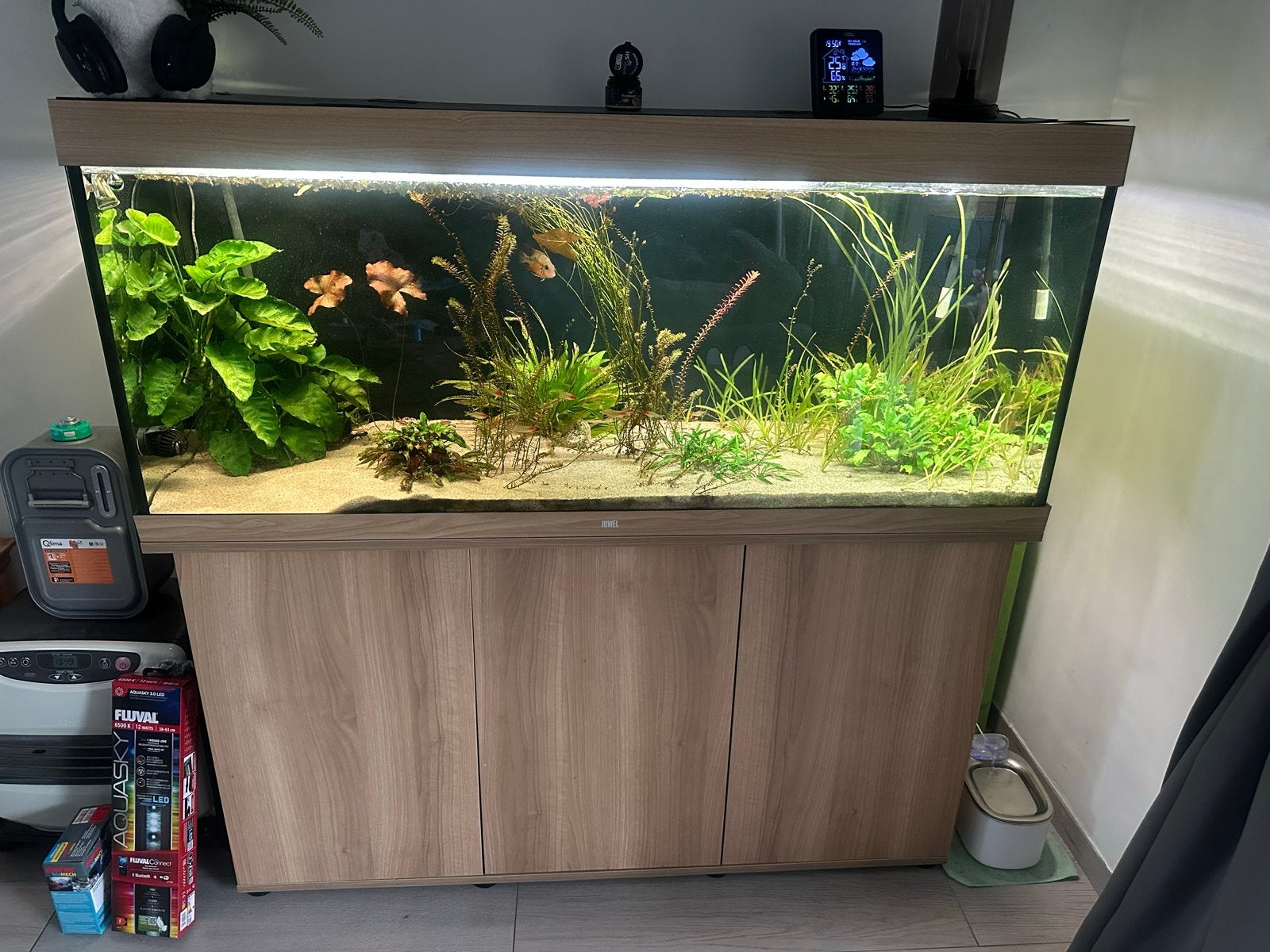 Juwel Rio 450 + 2x oase biomaster + co2, Ophalen, Gebruikt, Inclusief vissen, Gevuld zoetwateraquarium