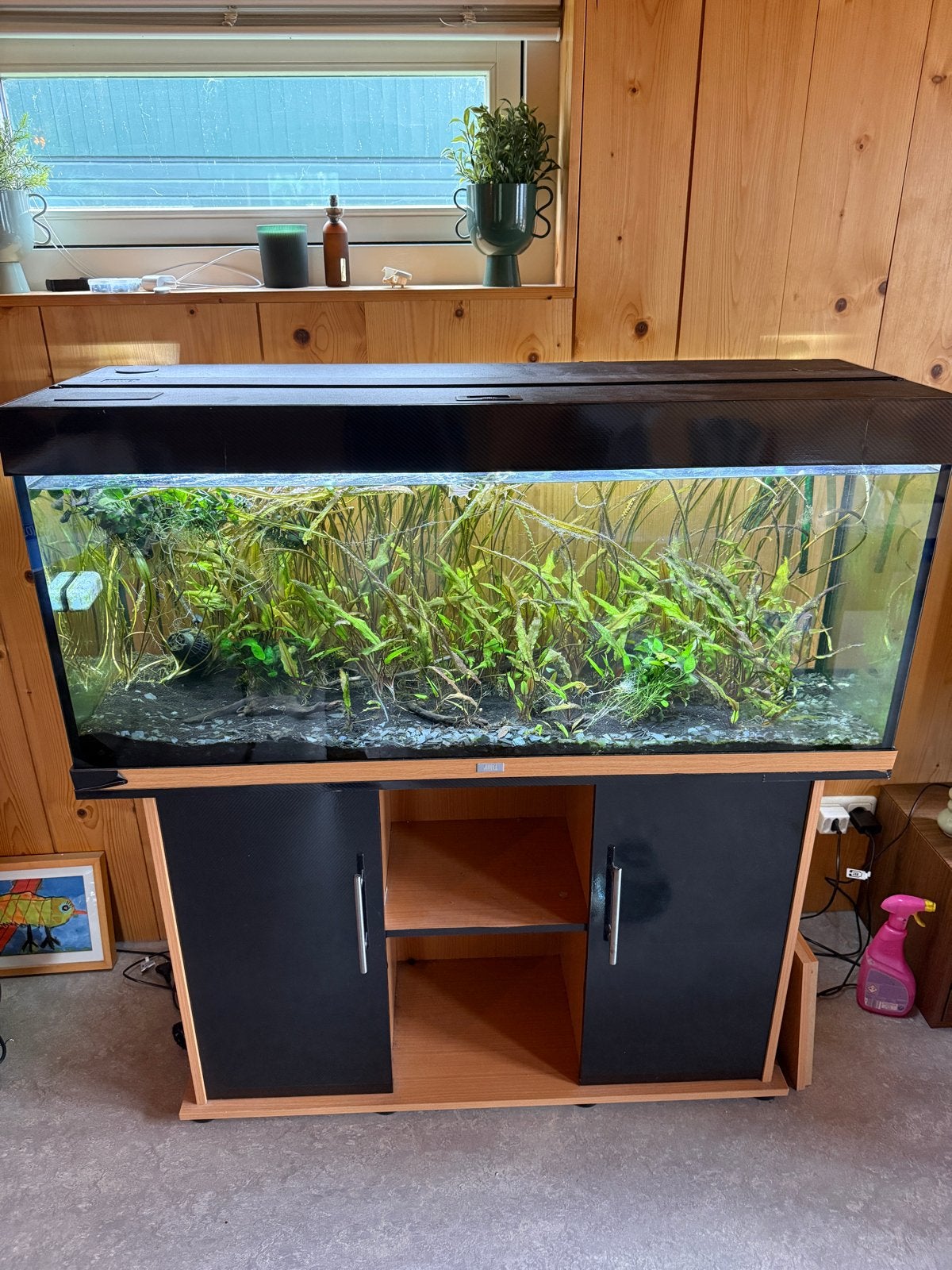Aquarium juwel rio 240 met meubel, Dieren en Toebehoren, Vissen | Aquaria en Toebehoren, Ophalen