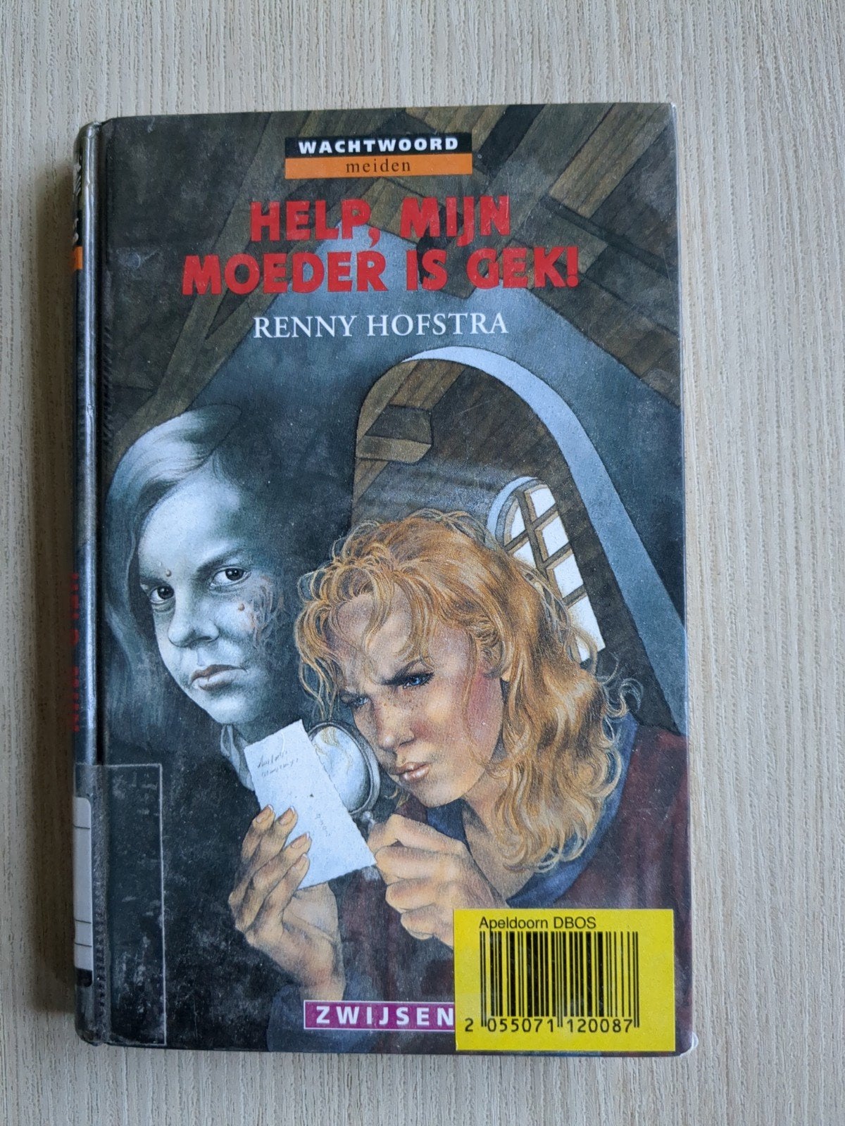 Help, Mijn Moeder Is Gek! - Renny Hofstra, Ophalen of Verzenden, Gelezen, Renny Hofstra, Fictie