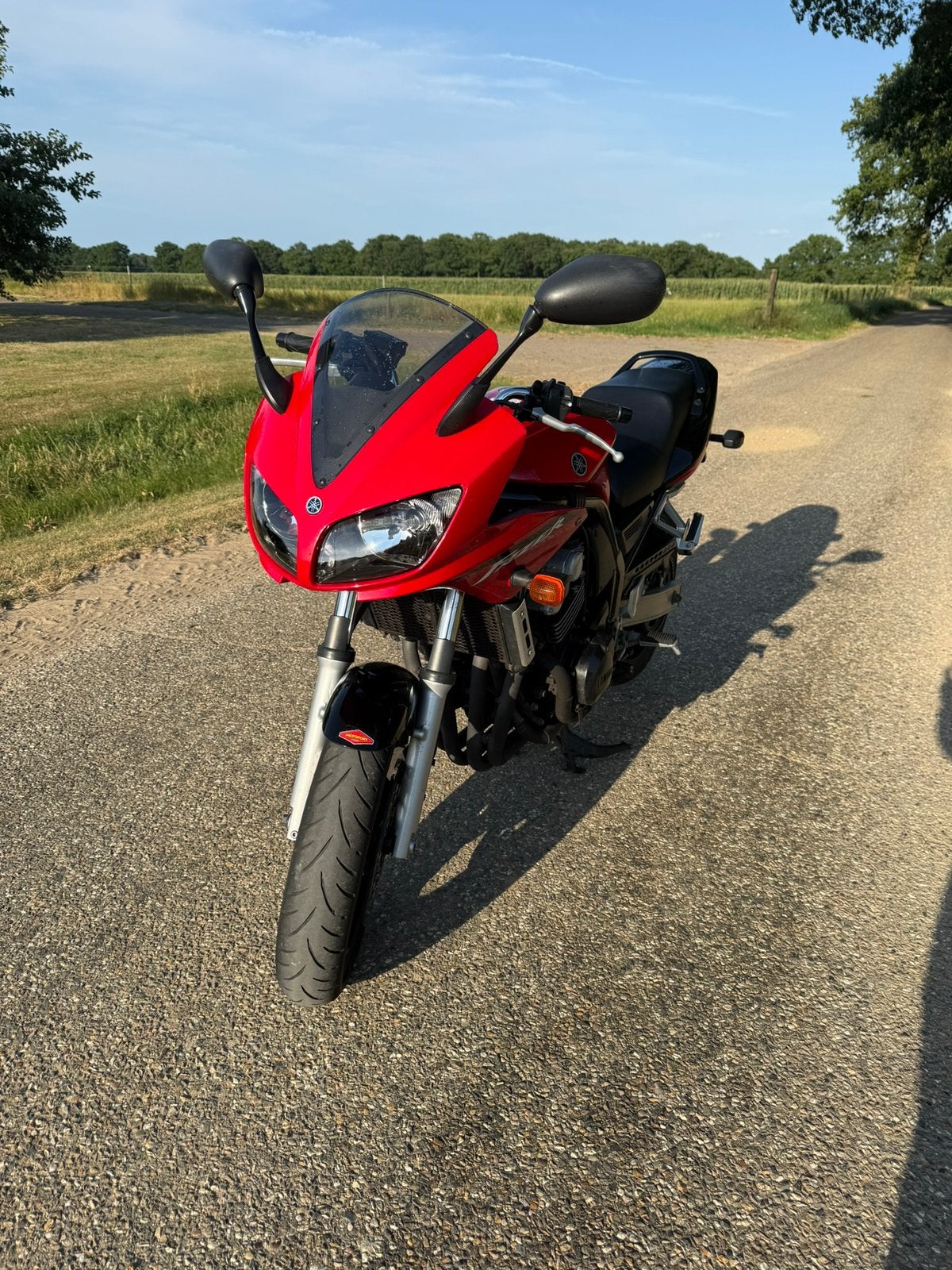 Yamaha FZS 600, A2, Ophalen