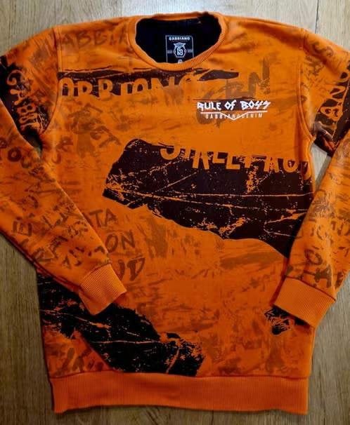 Als Nieuwe Gabbiano Trui - Sweatshirt, jongen, 176, Trui of Vest, Gabbiano, Ophalen of Verzenden, Zo goed als nieuw