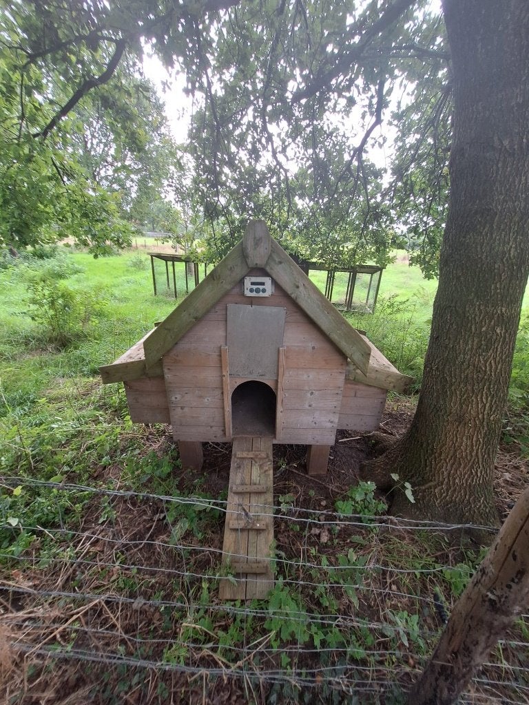 Houten kippenhok op poten met automatische deur en legnesten, Ophalen, Gebruikt, Kippenhok of Kippenren