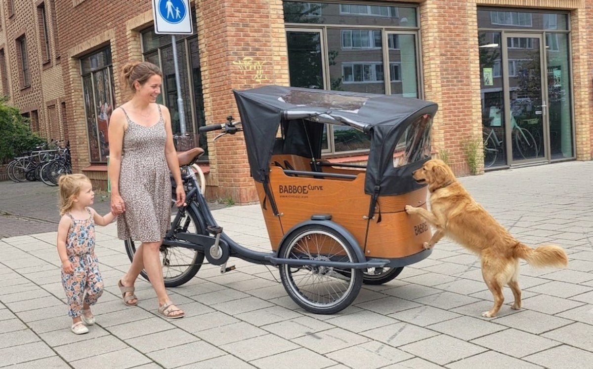 Babboe Curve-E Antraciet 49cm, Fietsen en Brommers, Fietsen | Bakfietsen, Gebruikt, -, -, Elektrisch
