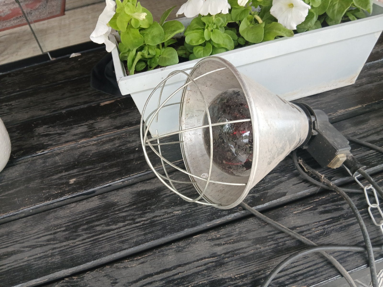 Warmtelamp incl lichtbron., Dieren en Toebehoren, Ophalen of Verzenden, Overige typen