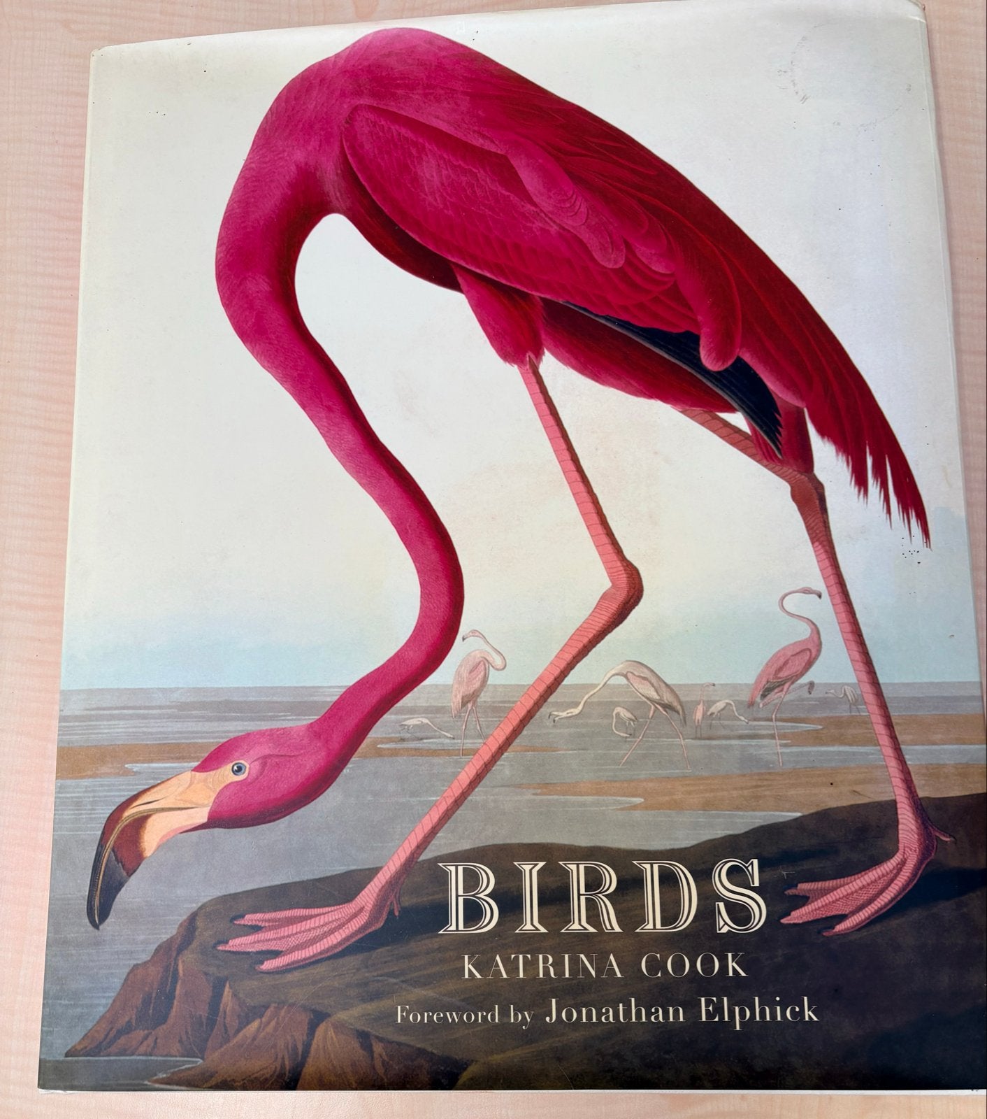 Natuurboeken: vogels, insecten, planten en meer, Ophalen of Verzenden, Gelezen, Natuur algemeen